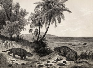 د چاک عمر منظره پولی autorstwa English School